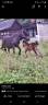 Ponette 18 ans 