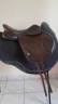 Selle Arena Monoquartier