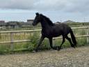 Frison plein papiers 3 ans