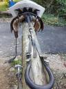 VEND SELLE IBERIQUE