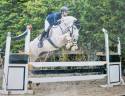 Jument 7 ans polyvalente 