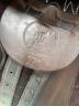 Selle TdeT