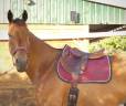 Selle monoquartier  HENRI DE RIVEL 