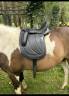 Selle dressage 