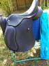 Selle wintec 500 hart