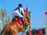 Cheval de sport à vendre 