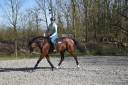 TOP Jument cso Children / amateur Elite