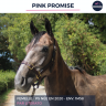 PINK PROMISE - PS - 5 ANS