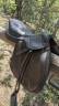 Selle ikonic evolution 