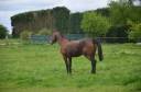 a vendre