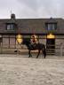 Ponette à vendre 