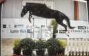 Location pour valorisation en circuit jeunes chevaux 