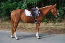 MADEMOISELLE BUISS PFS