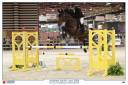 Cheval de sport