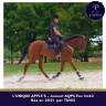 Jeune AQPS, excellent mental