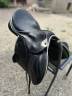 Selle Zaria stubben