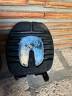 scoot boots hipposandale avec protection endurance