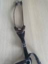 Collier de chasse avec martingale 