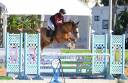 Excellente Jument 5 ans Mylord x Diamant