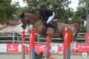 Jument 6 ans ( untouchable 27 x vigo x fragance )