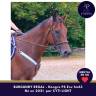 Jeune cheval mental en or