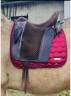 Selle Zaldi dressage /loisir 