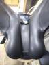 Selle dressage pro Isabel Werth+ tous les accessoires 