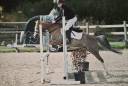 PRINSES adorable ponette Welsh 
