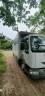 Camion poids Lourd chevaux 