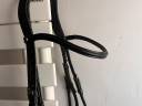 Bridon de dressage
