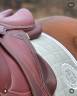 Selle Devoucoux Enara