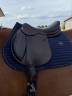 Selle forestier 