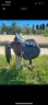 Selle prolight 