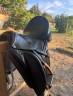 selle de dressage Equipe Carbon Viktoria monoflap 17,5