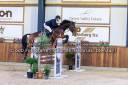 Super hongre de 8 ans gros moyens pour cavalier amateur