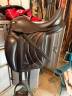 Selle de dressage 