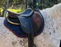 Selle delgrange de 2008 