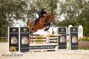 Jument  • 4 ans  • BWP  • Nono vd Withoeve x Jericho DH