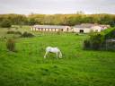 Haras d'Élevage de Chevaux, 26ha, dans l’Yonne (89)