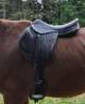Selle CHIBERTA O