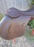 Selle mixte wintec hart 17,5"