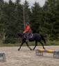 Ponette grand D ONC 6 ans 