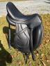 Selle Antares Cadence 17