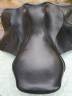 Selle KENT and MASTERS 17"