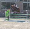 Ponette
