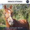 PRINCE ATTENDU - PS - 4 ANS