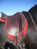 Selle cuir dressage mono quartier 