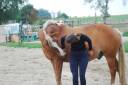 Cours pour enfants dans le respect du cheval ?