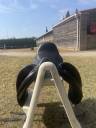 Selle de dressage Antares Tempo