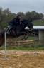 Jument CSO &agrave; vendre 